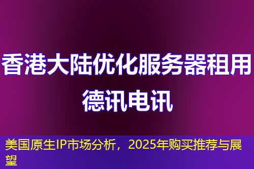 美國(guó)原生IP市場(chǎng)分析，2025年購(gòu)買(mǎi)推薦與展望