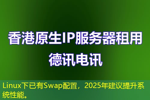 Linux下已有Swap配置，2025年建議提升系統(tǒng)性能。