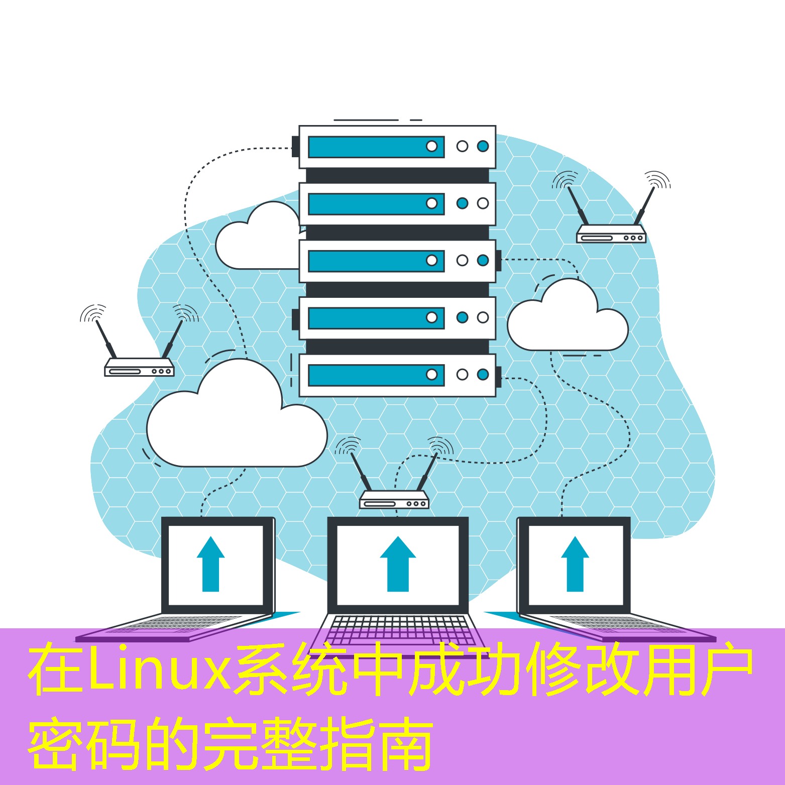 在Linux系統(tǒng)中成功修改用戶密碼的完整指南